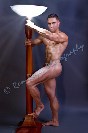 Baring The Torchiere