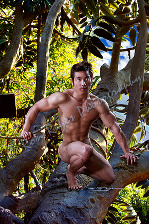 The Jungle Boy - Series 3