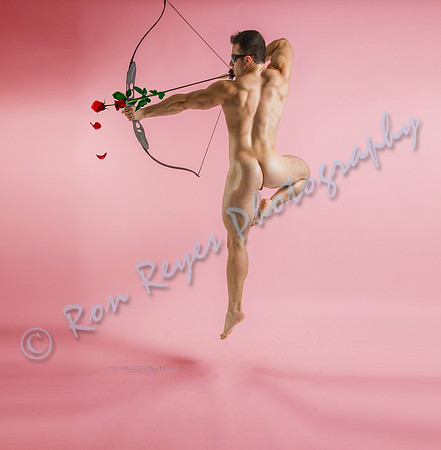 HOLIDAYS 070_ Cupid's Arrow - Happy Valentine's Day