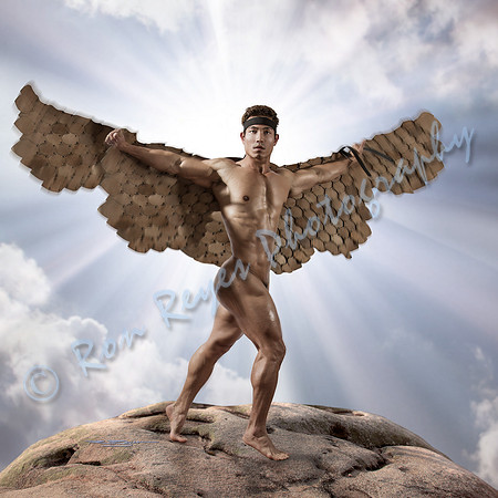Ron's Angel Series 0003M_ Asian Icarus