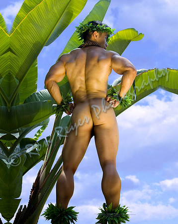 00Z5K_ Happy Hawaiian Hump Day - Model Steve Chen