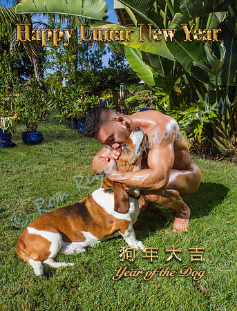 HOLIDAYS 030D_ The Year Of The Dog