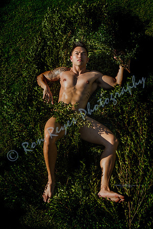 BUSHMAN (series 1)