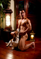 0010P_ A Man And His Dog - Series 3