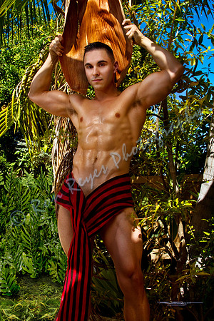 200_ Palm Frond Native