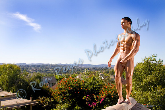 Up On The Roof